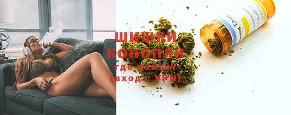 сатива Нея