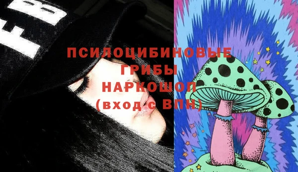 сатива Нея