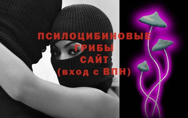 сатива Нея
