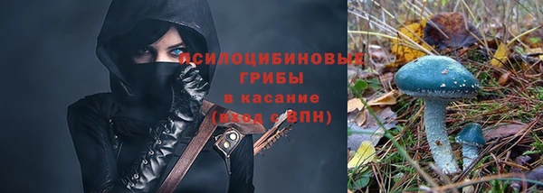 Альфа ПВП Нефтекумск