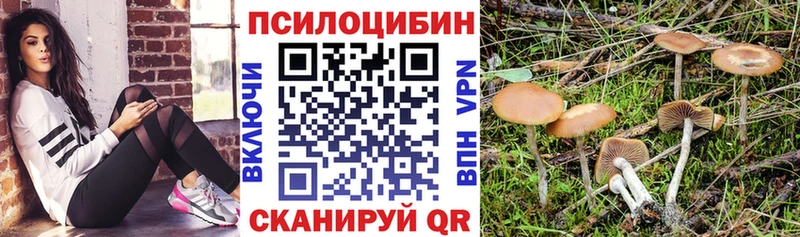 Псилоцибиновые грибы Magic Shrooms  дарнет шоп  MEGA онион  Мурманск 