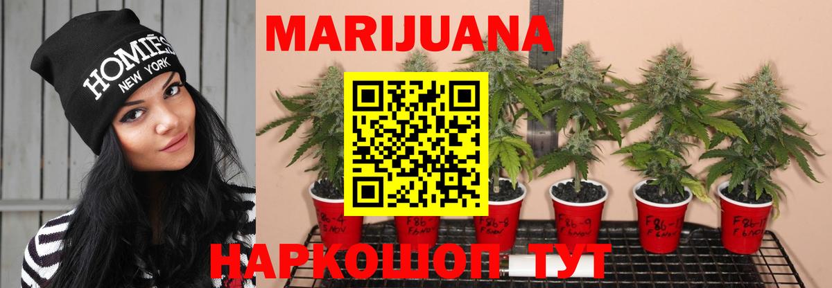 Бошки Шишки LSD WEED  Шишки марихуана гибрид  Каннабис LSD WEED  Вход с VPN  Бошки марихуана индика  Мурманск 